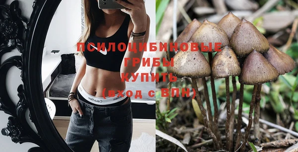 mdpv Верея