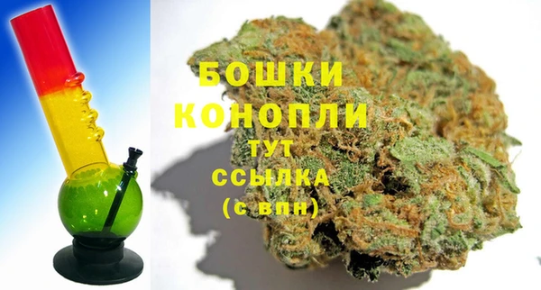 шишки Волосово