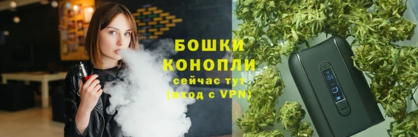 шишки Волосово